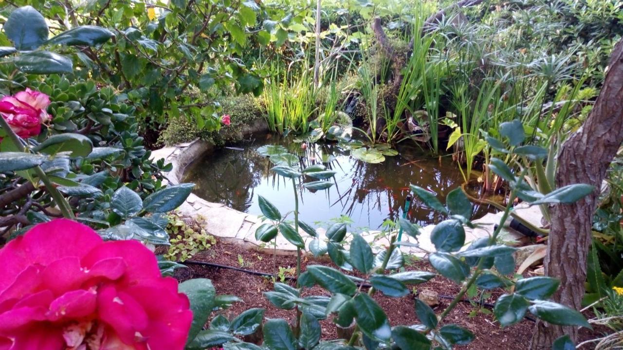 Casa Montse Villa Cala Galdana  Ngoại thất bức ảnh
